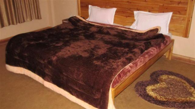 فندق جولدن دولما دارجيلنغ الغرفة الصورة